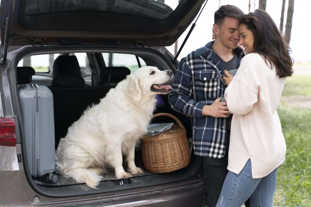 Colorado Pet Home & Auto Insurance Discount Bundles