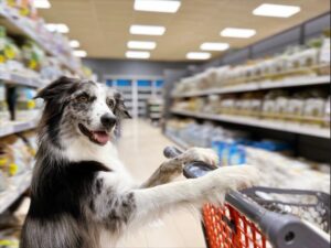 Get the best quotes, costs, and coverage for Pet Store Insurance in Colorado, providing tailored protection for the unique risks involved in running a pet retail business.