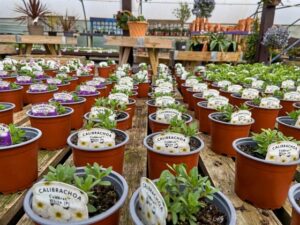 Find the best quotes, costs, and coverage for Plant Nursery Insurance in Colorado, offering specialized protection for the unique risks associated with operating a plant nursery.