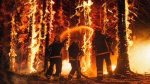 Explore insights on rising insurance costs and wildfire challenges for Colorado from California's experience.